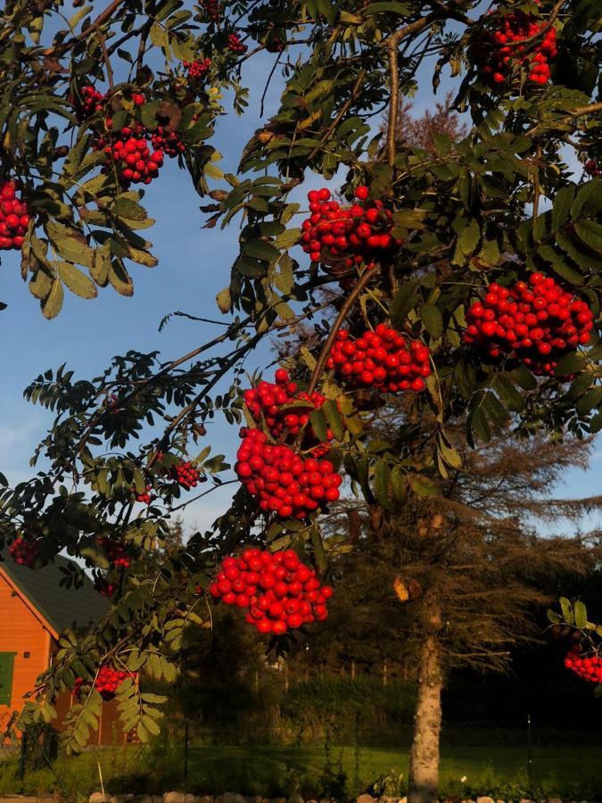 Dom Nad Morzem Ludwikowo Villa Skrzeszewo  Bagian luar foto