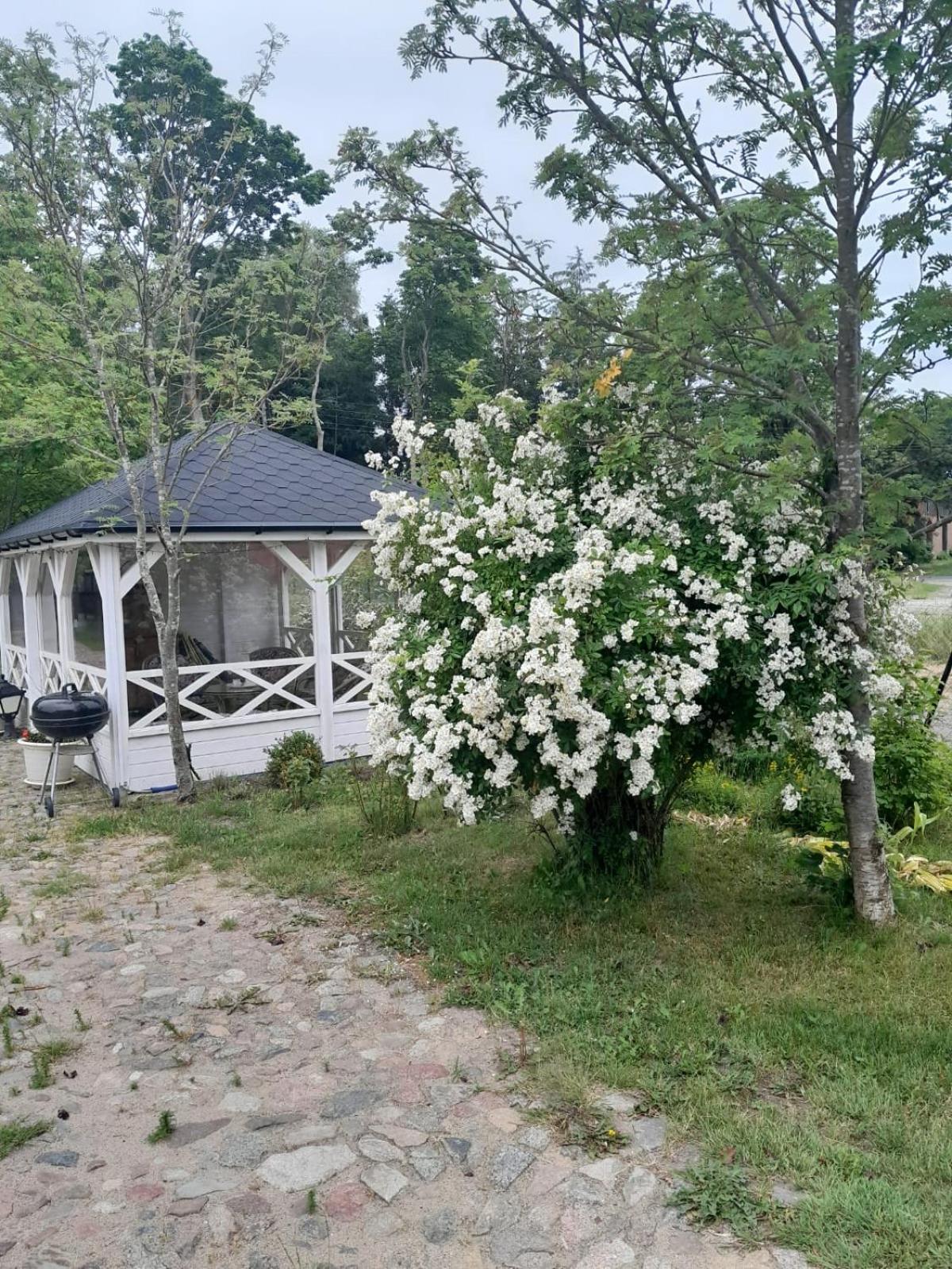 Dom Nad Morzem Ludwikowo Villa Skrzeszewo  Bagian luar foto